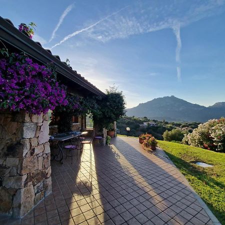 Villa Stazzu Sa Murta Cugnana Esterno foto